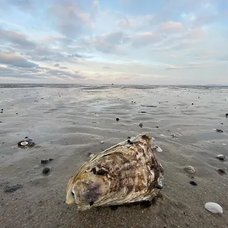 Διαμέρισμα Im Haus Nordland Nordland, App 48, Hund *